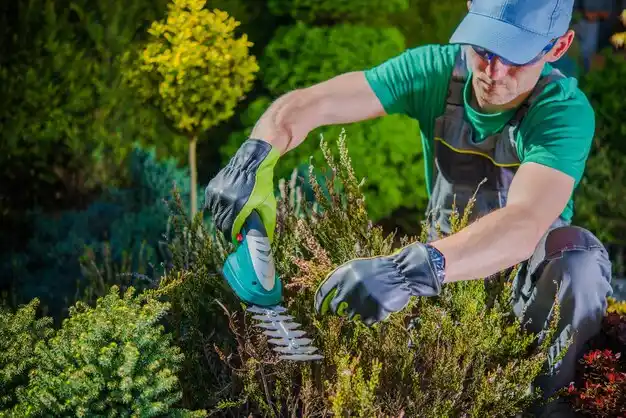 landscaping services Houghton